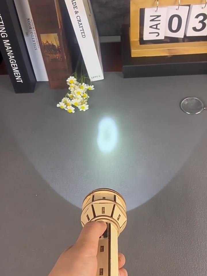 Wooden DIY Flashlight Puzzle K - đánh giá và giá Science Project Diy