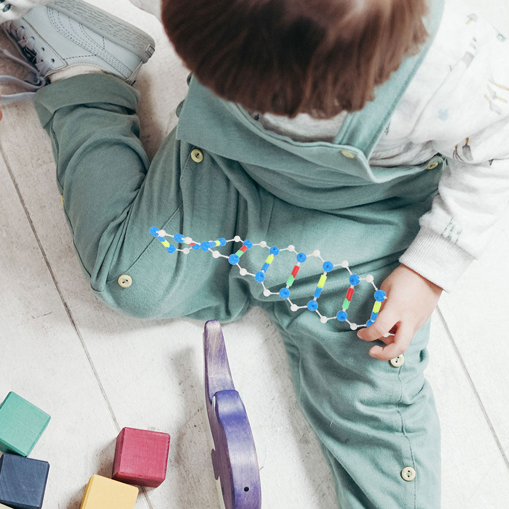 2Pcs Dna Double Helix Structur - đánh giá và giá Science Kit