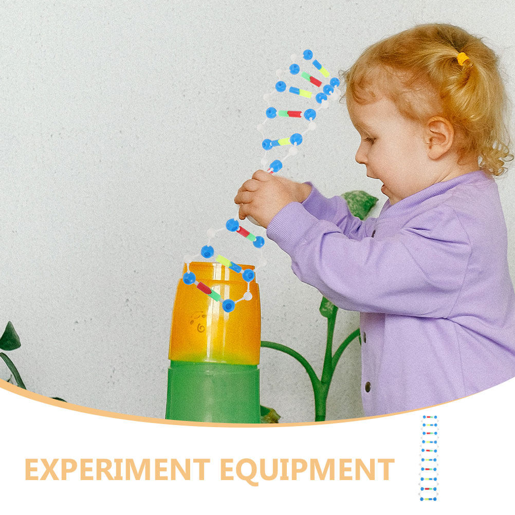 2Pcs Dna Double Helix Structur - đánh giá và giá Science Kit