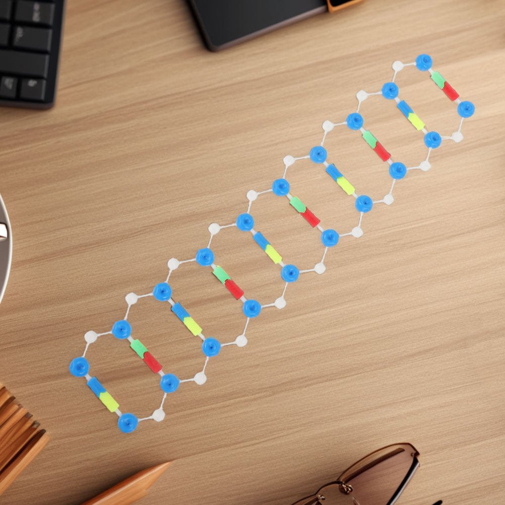 2Pcs Dna Double Helix Structur - đánh giá và giá Science Kit