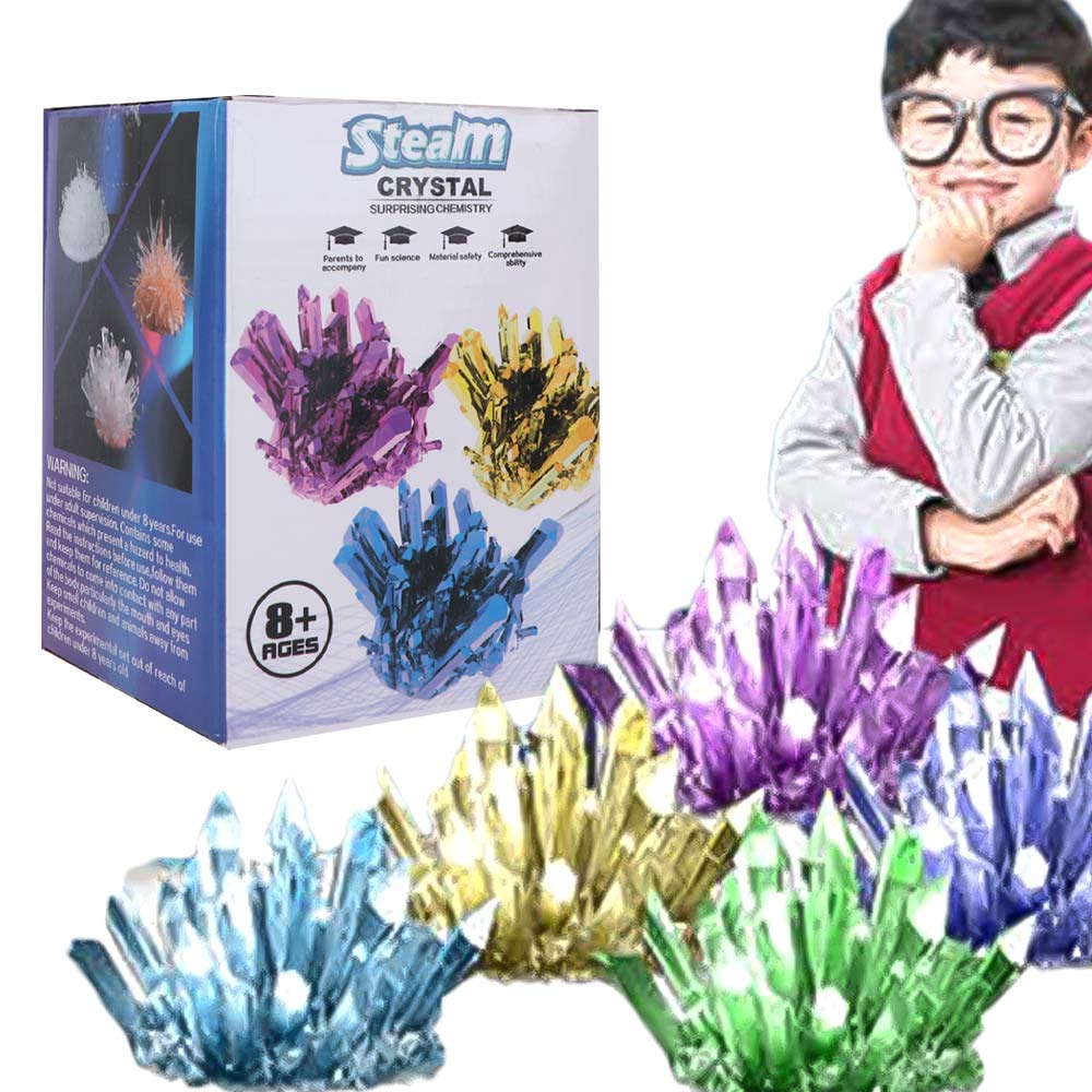 Grow a Crystal Crystal Growing - đánh giá và giá Science Project Diy