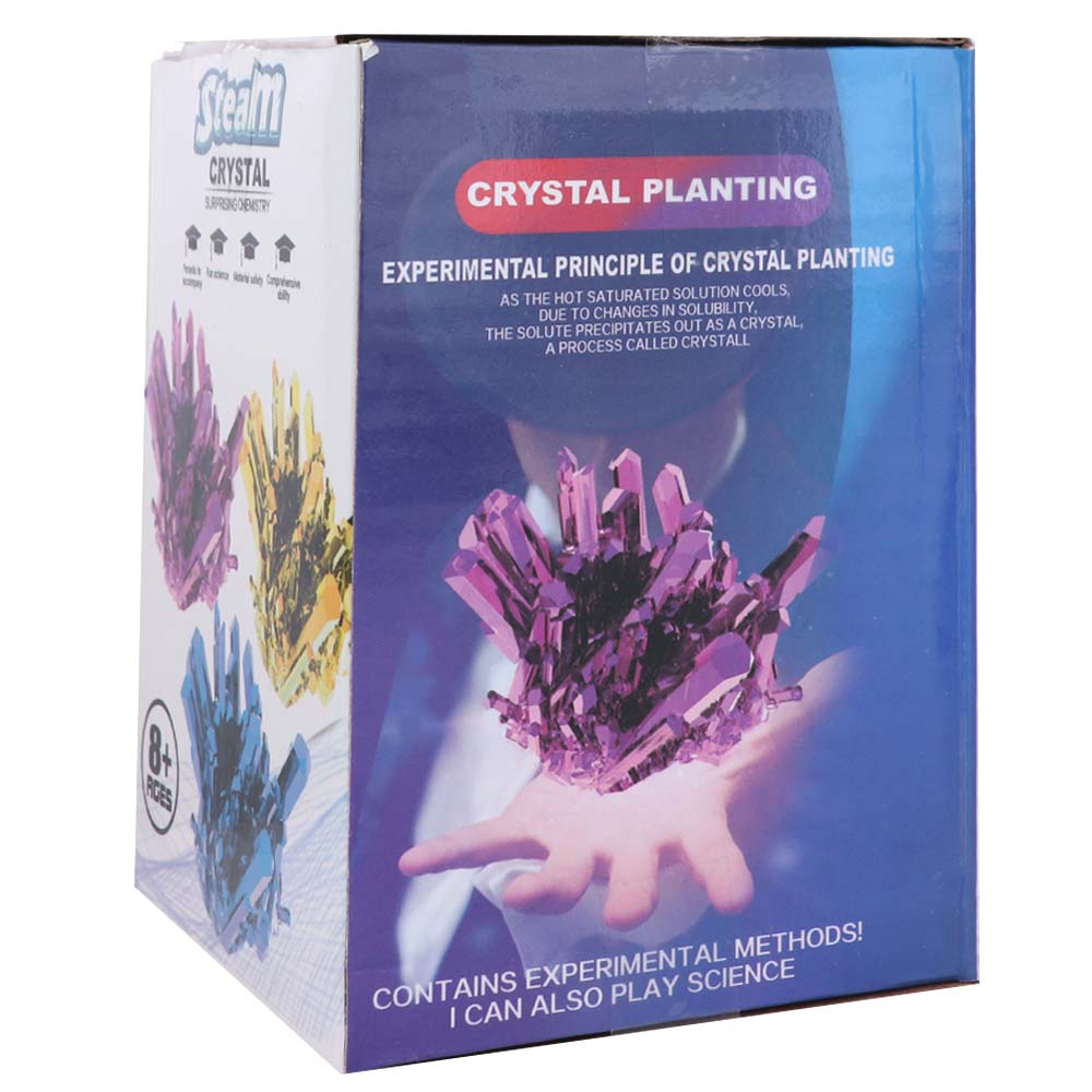 Grow a Crystal Crystal Growing - đánh giá và giá Science Project Diy