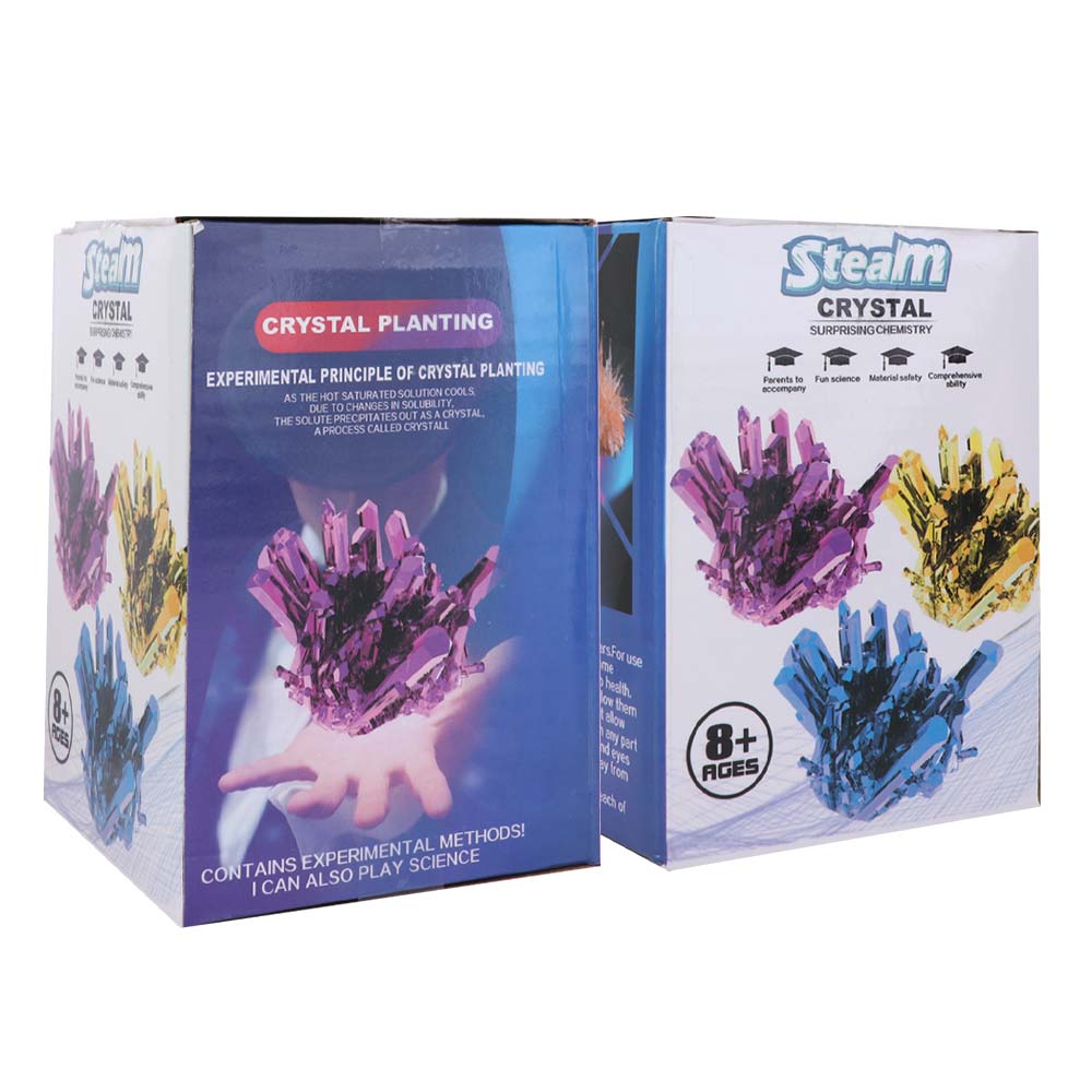 Grow a Crystal Crystal Growing - đánh giá và giá Science Project Diy