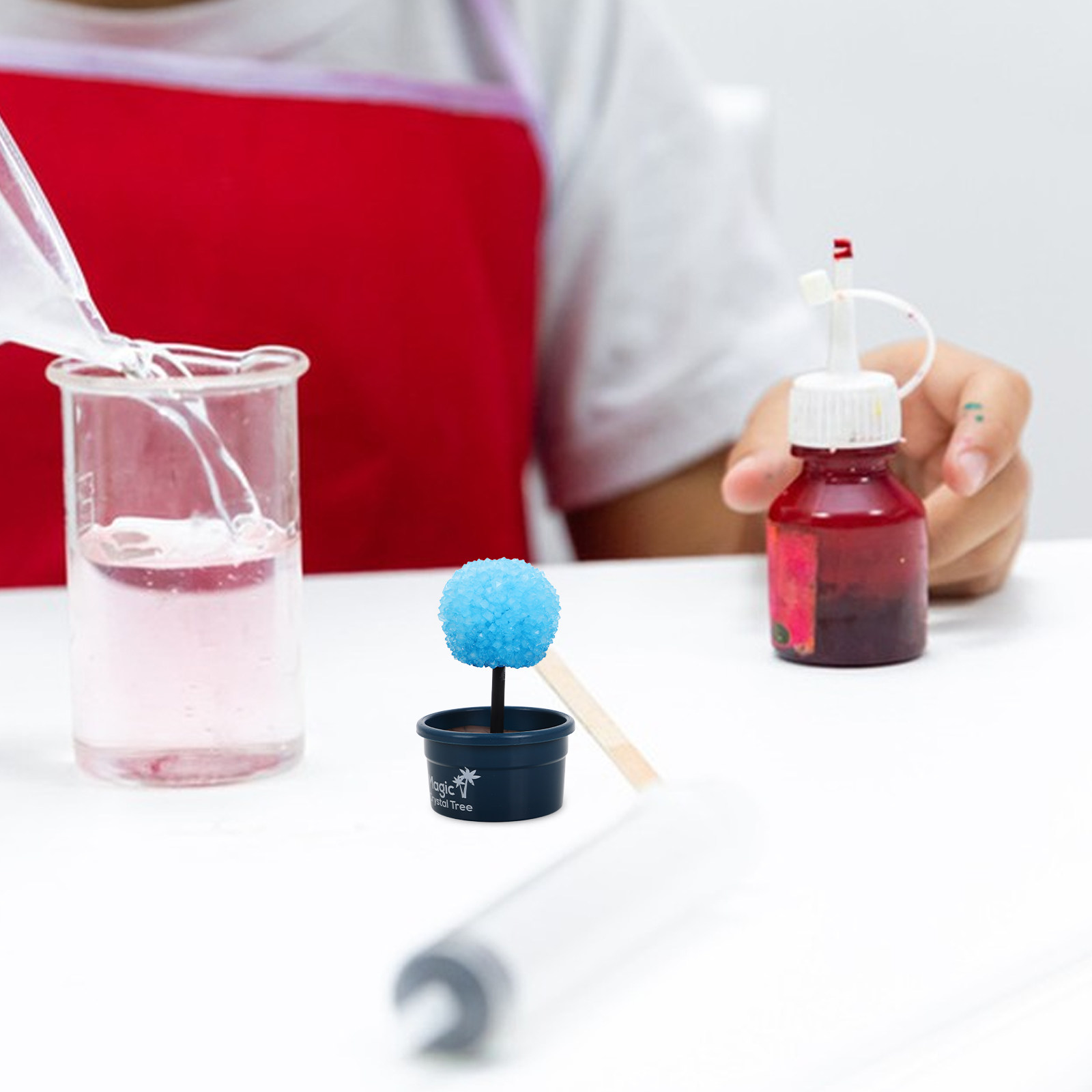 1Set Crystal Craft Set for Chi - đánh giá và giá Science Kit